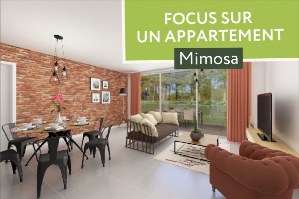 Article-focus-appartement-mimosa